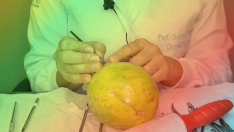Curso Online Master Class em Onicocriptoses e Retroníquia